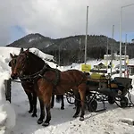 90m2 Near Slope * セメリング
