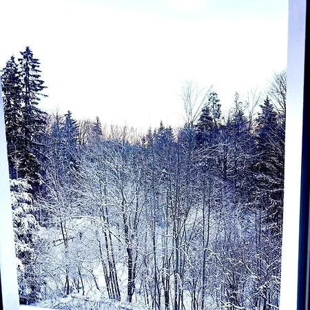 90m2 Near Slope Semmering