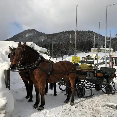 90m2 Near Slope * Semmering
