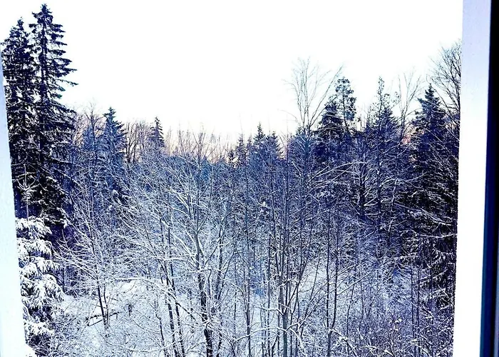 90m2 Near Slope Semmering